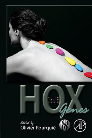 Kniha HOX Genes Olivier Pourquie