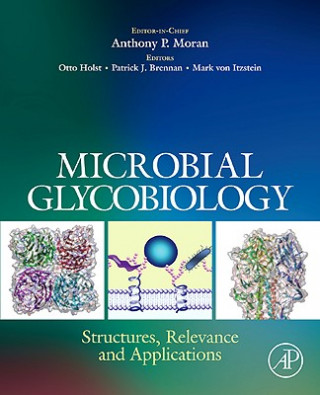 Книга Microbial Glycobiology Anthony P. Moran