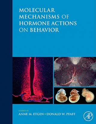 Kniha Molecular Mechanisms of Hormone Actions on Behavior Anne M. Etgen