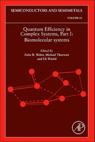 Libro Quantum Efficiency in Complex Systems, Part I Eicke R. Weber