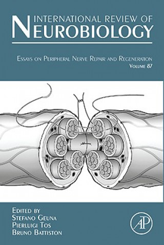 Libro Essays on Peripheral Nerve Repair and Regeneration Stefano Geuna