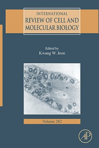 Könyv International Review of Cell and Molecular Biology Kwang W. Jeon