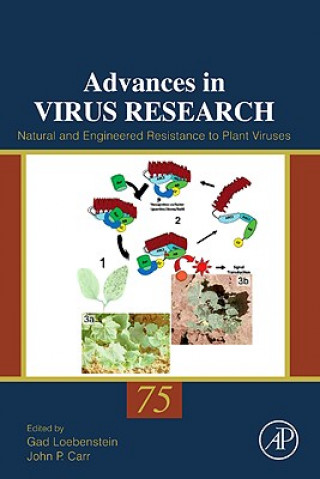 Carte Natural and Engineered Resistance to Plant Viruses Gad Loebenstein