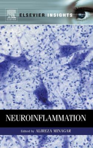 Kniha Neuroinflammation Alireza Minagar