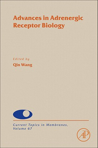 Könyv Advances in Adrenergic Receptor Biology Qin Wang