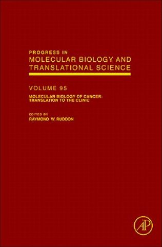 Kniha Molecular Biology of Cancer: Translation to the Clinic 