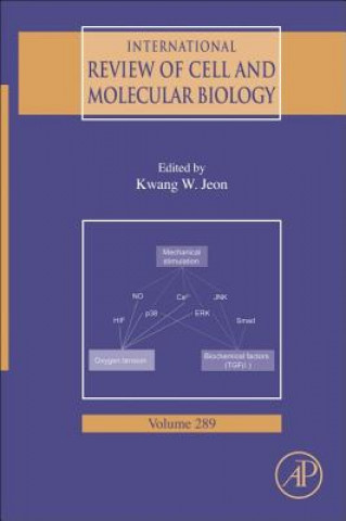 Książka International Review of Cell and Molecular Biology Kwang W. Jeon