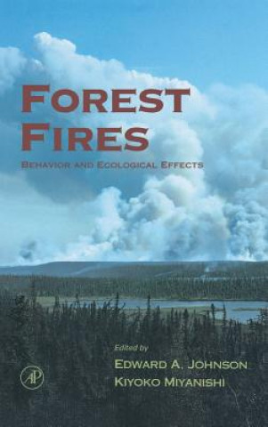 Kniha Forest Fires Edward A. Johnson