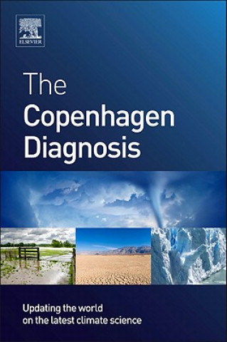 Kniha Copenhagen Diagnosis Matthew England