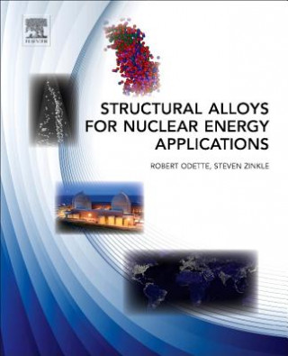 Könyv Structural Alloys for Nuclear Energy Applications 