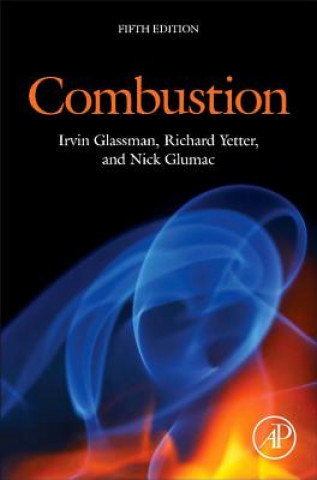 Kniha Combustion Irvin Glassman
