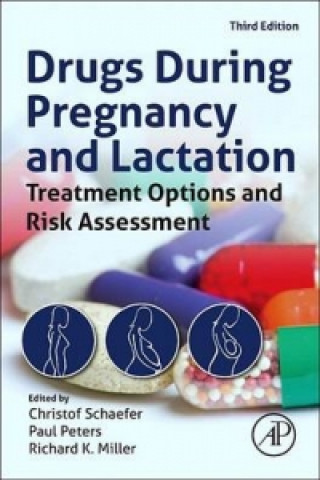 Könyv Drugs During Pregnancy and Lactation Christof Schaefer