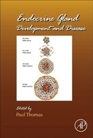 Kniha Endocrine Gland Development and Disease Paul Thomas