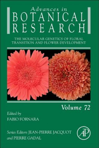 Książka Molecular Genetics of Floral Transition and Flower Development Fabio Fornara