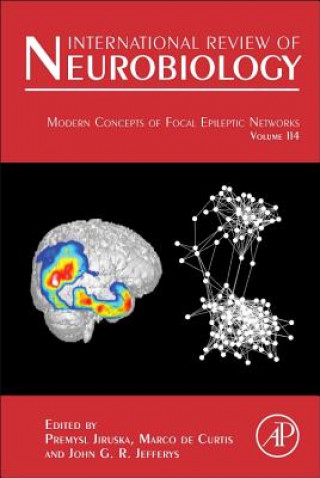 Kniha Modern Concepts of Focal Epileptic Networks Premysl Jiruska