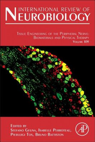 Kniha Tissue Engineering of the Peripheral Nerve: Biomaterials and Physical Therapy Geuna