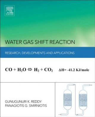 Kniha Water Gas Shift Reaction Panagiotis Smirniotis