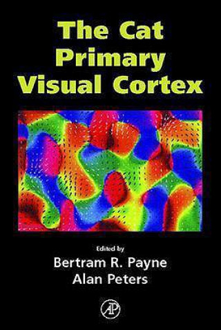 Knjiga Cat Primary Visual Cortex Bertram Payne