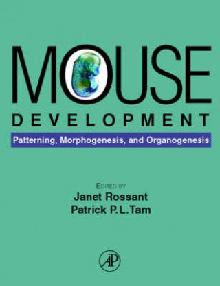 Buch Mouse Development Janet Rossant