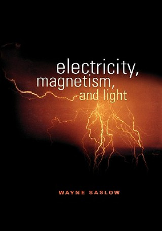 Könyv Electricity, Magnetism, and Light Wayne M. Saslow