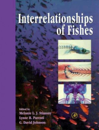 Książka Interrelationships of Fishes 