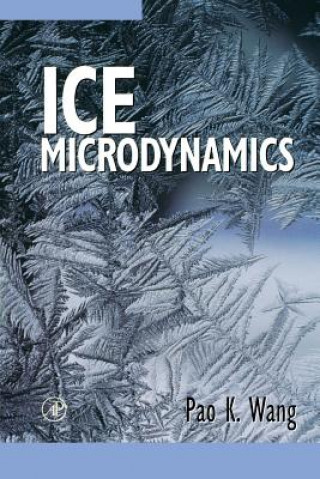 Kniha Ice Microdynamics Pao Wang