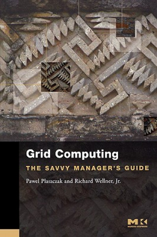 Könyv Grid Computing Pawel Plaszczak