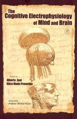 Carte Cognitive Electrophysiology of Mind and Brain Alberto Zani