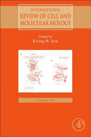 Książka International Review of Cell and Molecular Biology Kwang W. Jeon