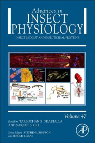 Könyv Insect Midgut and Insecticidal Proteins Tarlochan S. Dhadialla