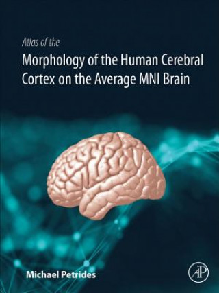 Książka Atlas of the Morphology of the Human Cerebral Cortex on the Average MNI Brain Michael Petrides