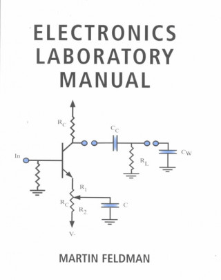 Kniha Electronics Lab Manual Martin Feldman