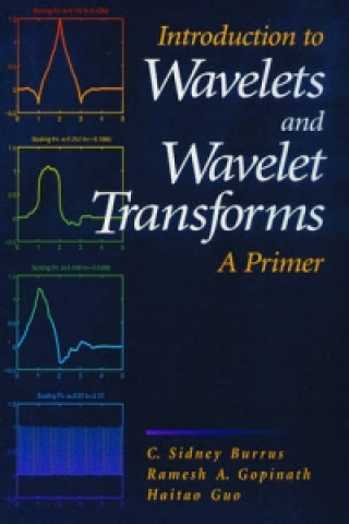 Könyv Introduction to Wavelets and Wavelet Transforms Ramesh A. Gopinath