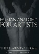Kniha Human Anatomy for Artists Eliot Goldfinger