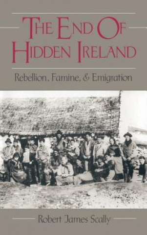 Kniha End of Hidden Ireland Robert Scally