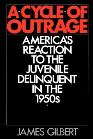 Kniha Cycle of Outrage James B. Gilbert