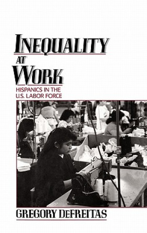 Kniha Inequality at Work Gregory DeFreitas