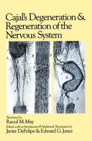 Könyv Cajal's Degeneration and Regeneration of the Nervous System Santiago Ramon y Cajal