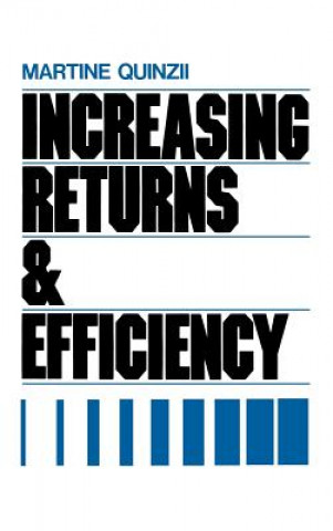 Βιβλίο Increasing Returns and Economic Efficiency Martine Quinzii