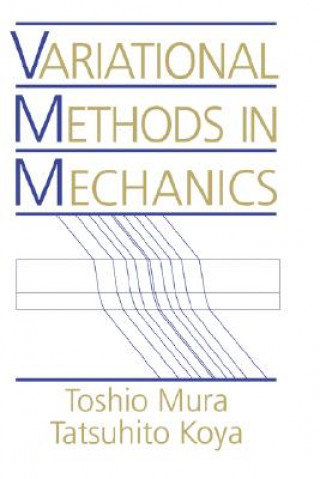 Buch Variational Methods in Mechanics Jasuik Iwona