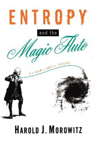 Libro Entropy and the Magic Flute Harold J. Morowitz