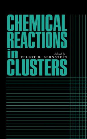 Könyv Chemical Reactions in Clusters Elliot R. Berstein