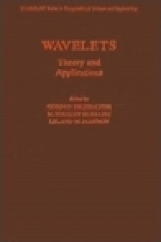 Könyv Wavelets Gordon Erlebacher