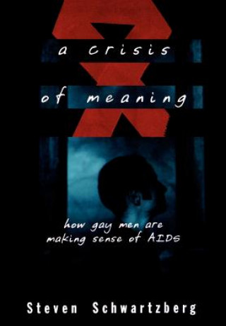 Buch Crisis of Meaning Steven Schwartzberg