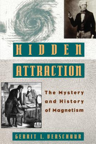 Book Hidden Attraction Gerrit L. Verschuur