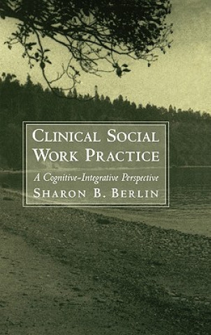 Könyv Clinical Social Work Practice Sharon Berlin