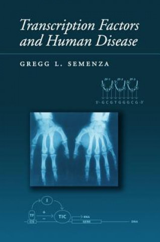 Kniha Transcription Factors and Human Disease Gregg L. Semenza