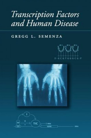 Knjiga Transcription Factors and Human Disease Gregg L. Semenza