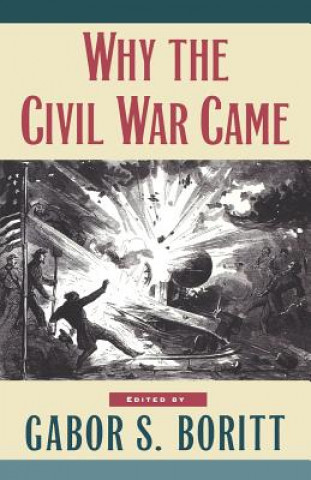 Kniha Why the Civil War Came Gabor S. Boritt