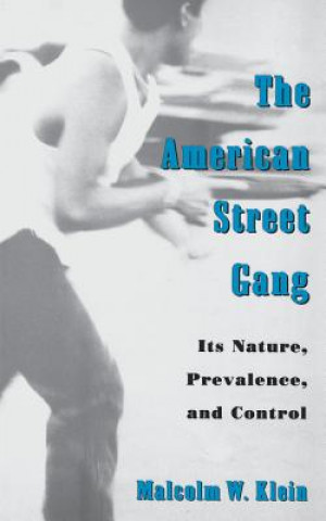 Carte American Street Gang Malcolm W. Klein